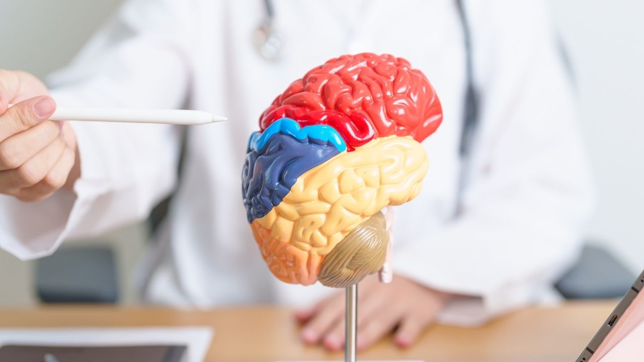 The Importance of TBI Testing & Diagnosis in Injury Cases in Michigan